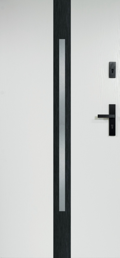 Drzwi Stalowe z Szybą W-11(OPUS)