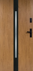 Drzwi Stalowe z Szybą W-11(OPUS)